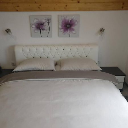 Guest House Jagoda Rakovica Buitenkant foto