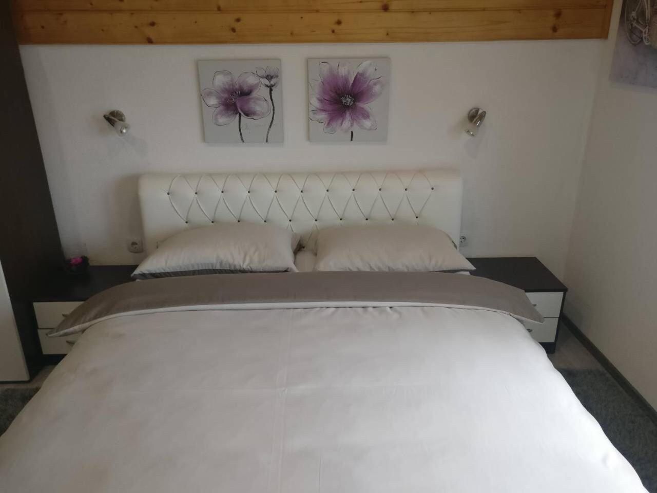 Guest House Jagoda Rakovica Buitenkant foto